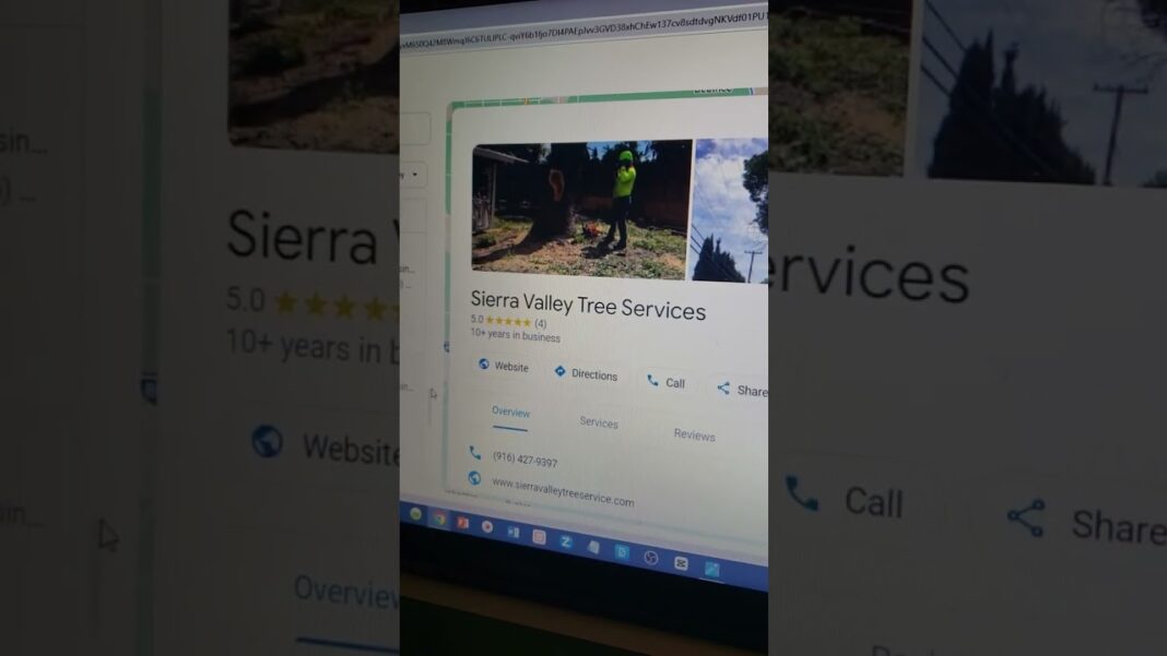 How I Make 500 a Day With Google Maps ๐คฏ (How To Make Money Online 2024)