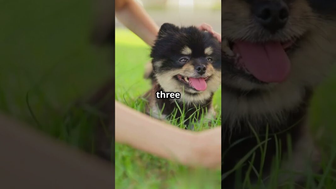 7 Reddit “I’d Pay $1k/Mo” Requests#ai#freelancing#makemoneyonline#business#reddit#passiveincome#ai