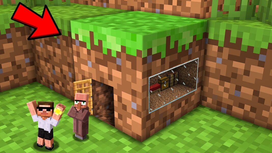 Carry & Doorbin What's Inside Minecraft Blocks?