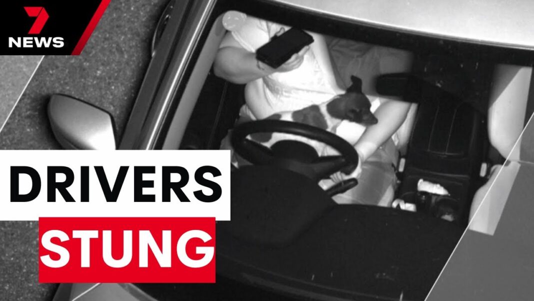 Adelaide's mobile phone detection cameras rake in $6.7 million in first month | 7NEWS