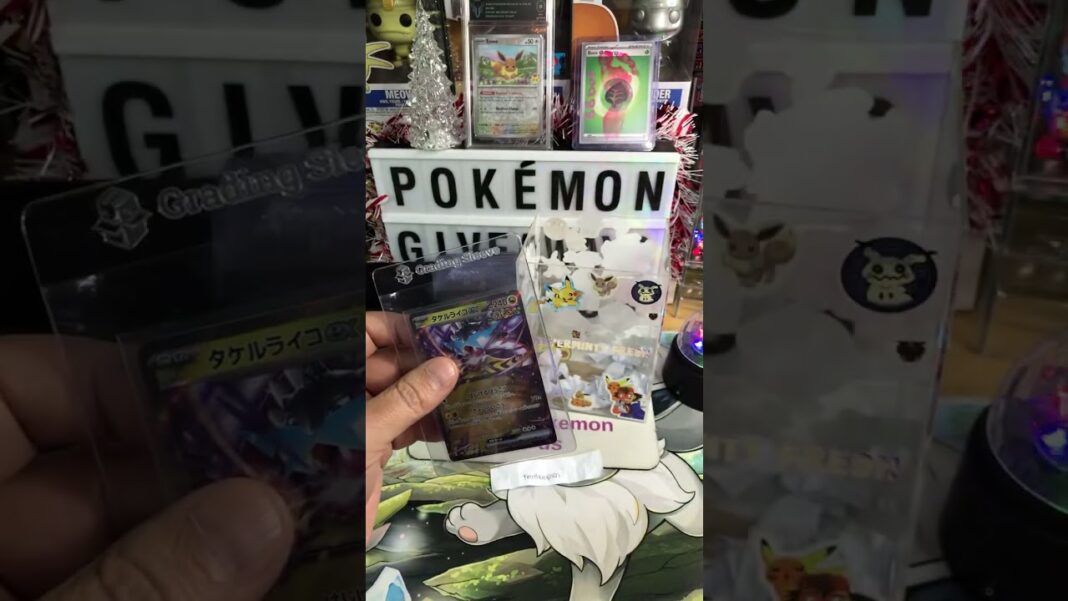 pokemon tcg card giveaways every night #pokemon #pokemoncards #tcg #winner #giveaway #australia