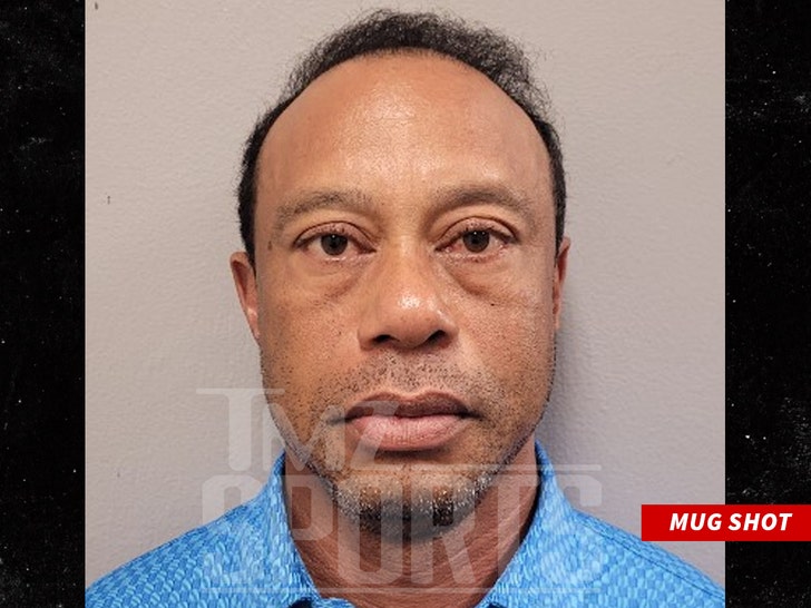 Tiger Woods Mug Shot Released After DUI Arrest